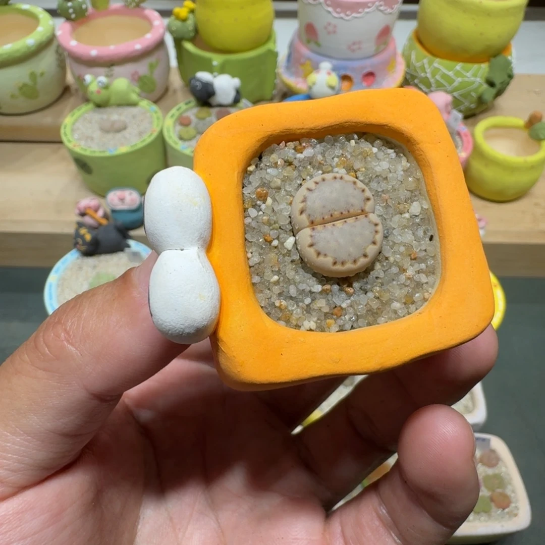 蘑菇283c216饼干饼干