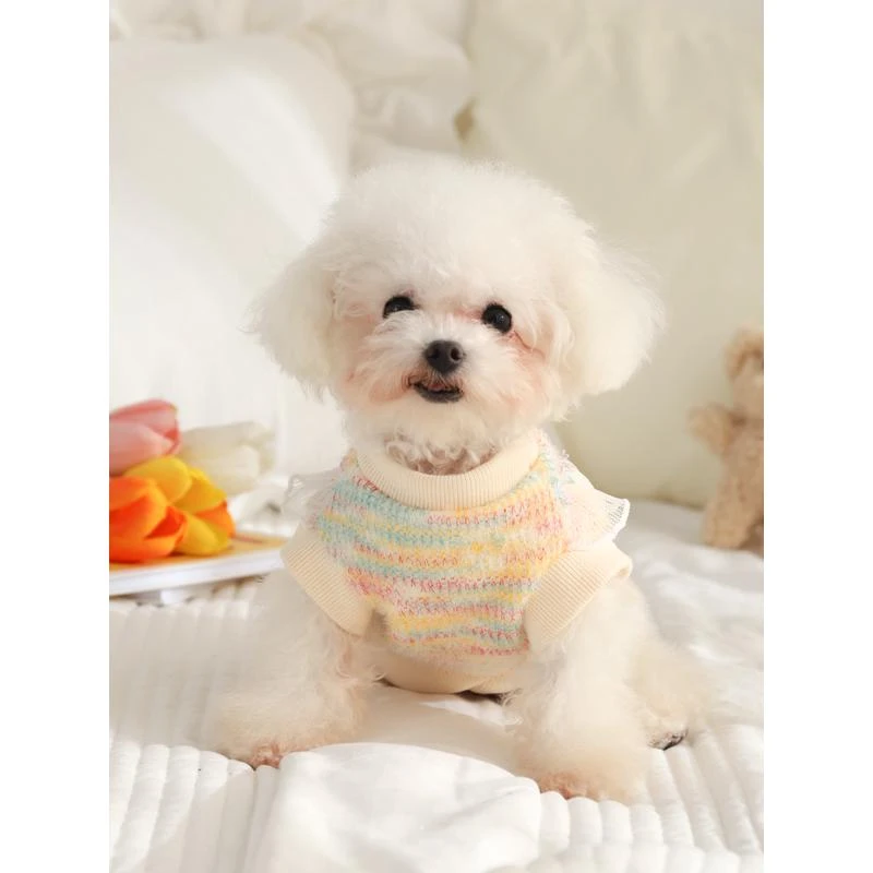 狗狗衣服春秋款卫衣保暖小型犬泰迪比熊博美犬宠物背心小狗春装
