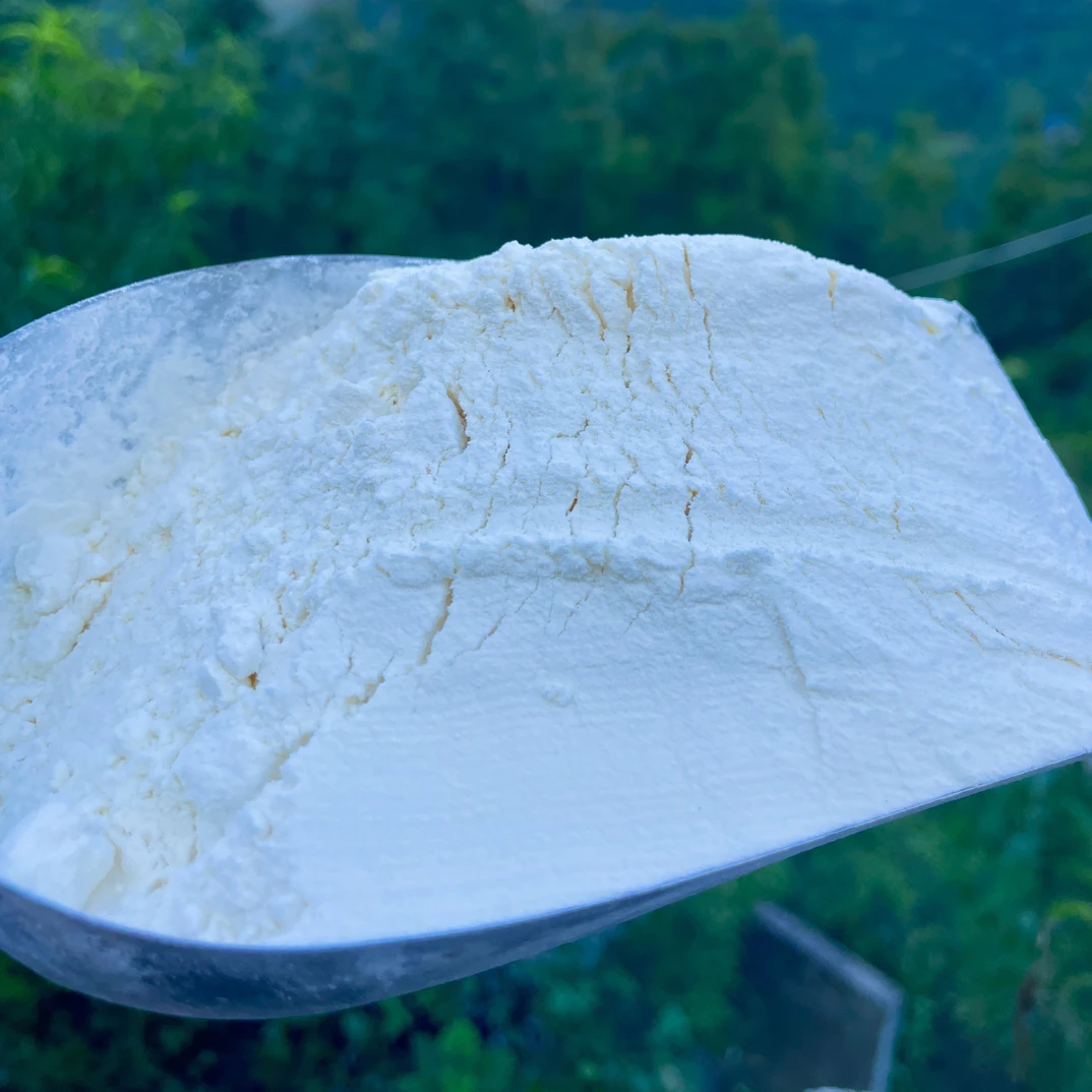 小麦粉农家土麦子粉5斤包邮