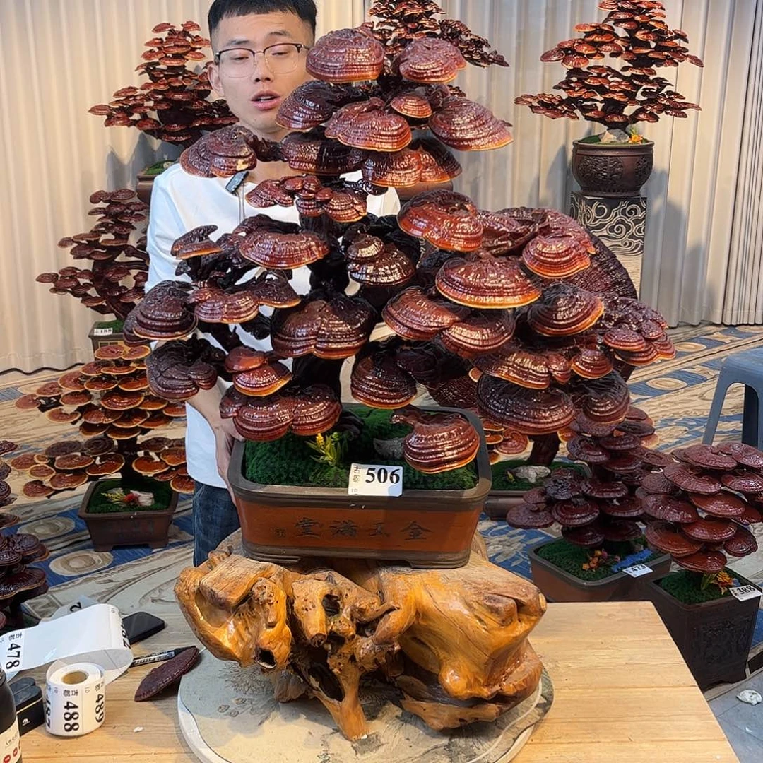 无花朵588888888888888