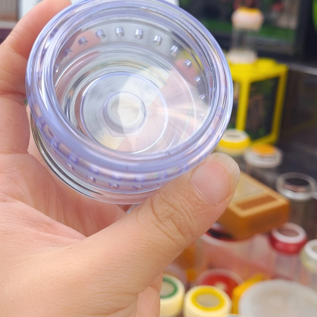 彩色小万体怕拍拍拍拍拍
