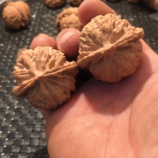 桃核吊坠像*苹果园