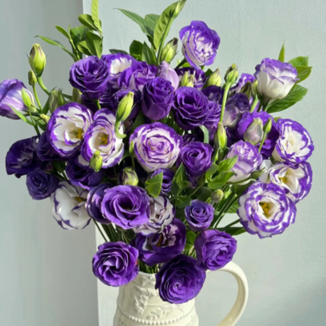 【1800克洋桔梗组合】洋桔梗 赠康乃馨 保鲜剂 脱水有轻微偏差