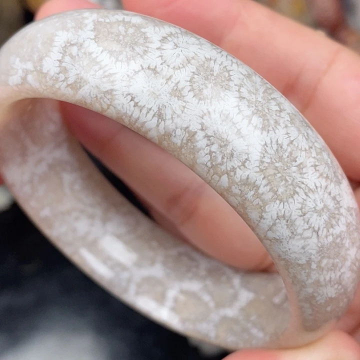 硅化玉未镶嵌颈饰60:6