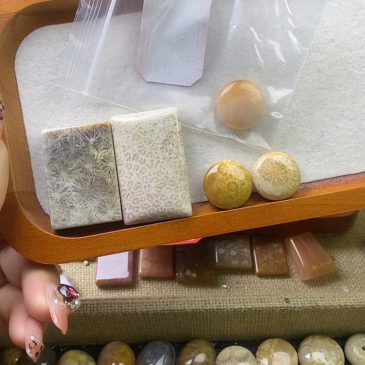 伊***^硅化珊瑚（珊瑚玉）未镶嵌颈饰