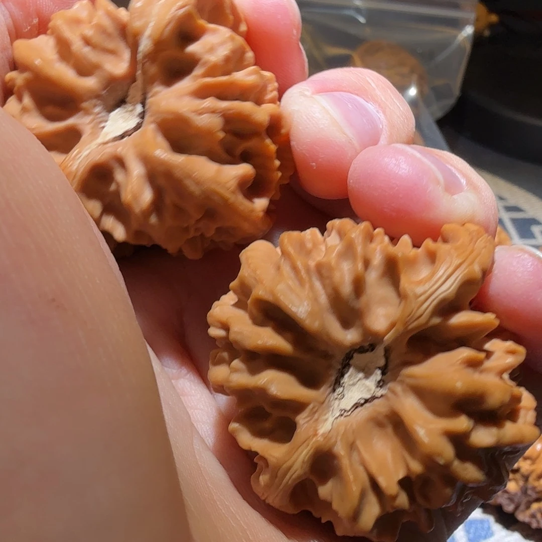 文玩核桃把件曹大龙