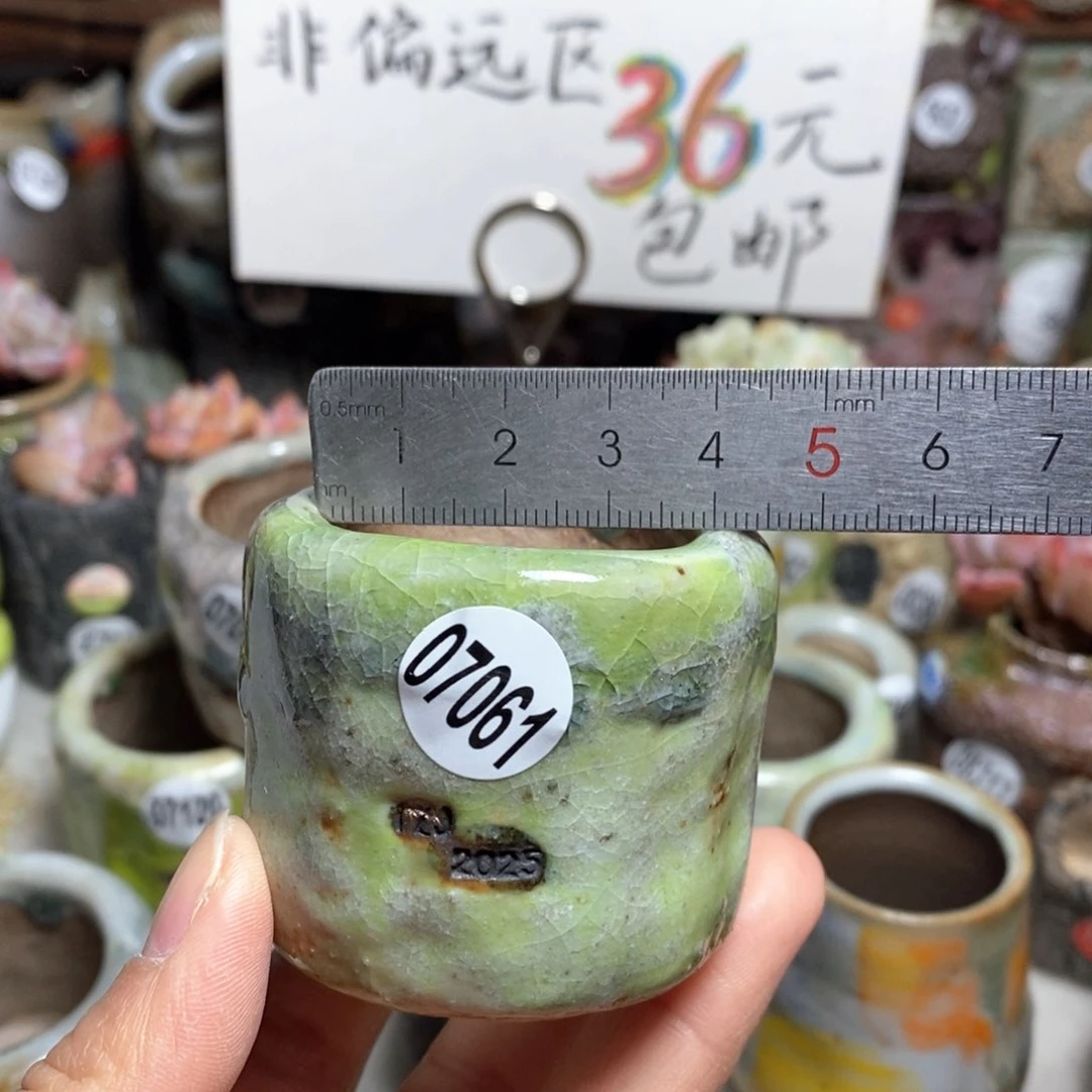花盆拍3送一个小礼物