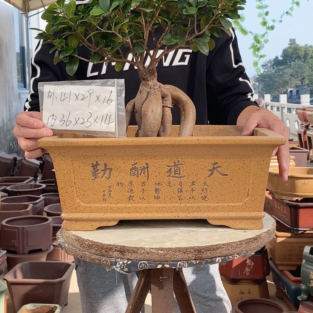 花盆紫砂紫砂花盆