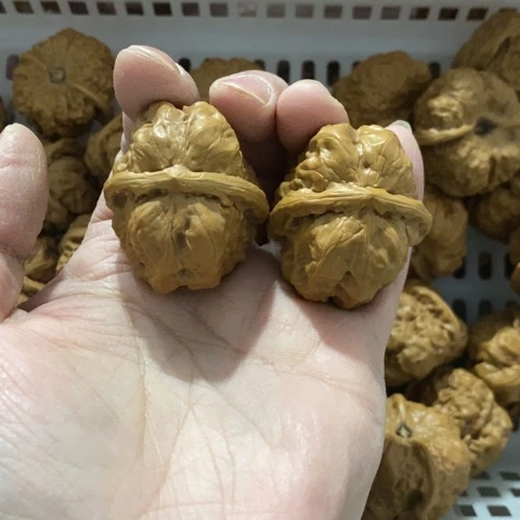 奥***卡把件文玩核桃哈哈哈