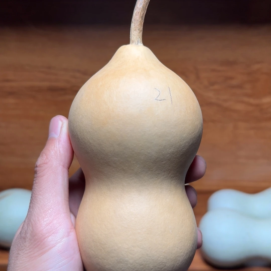 21号本长葫芦定向链接