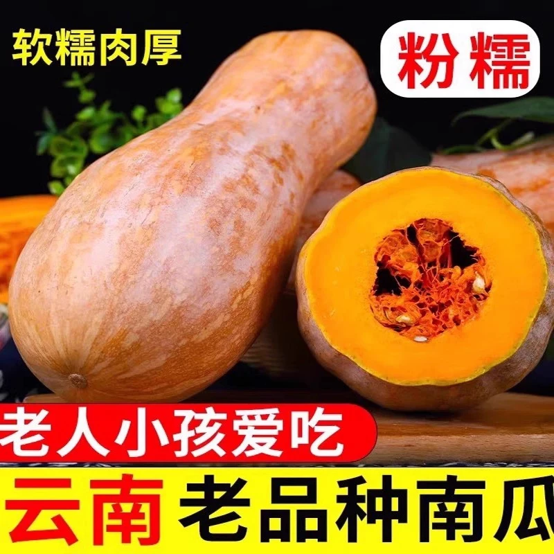 3-4斤云南老南瓜新鲜蜜本南瓜软糯香甜老品种南瓜宝宝辅食