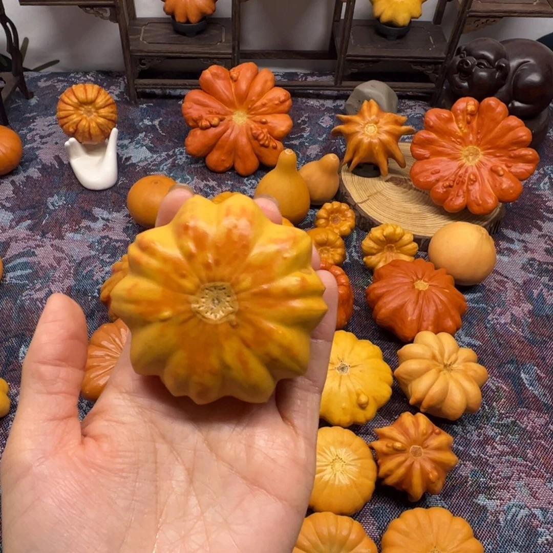 墨西哥葫芦特色花