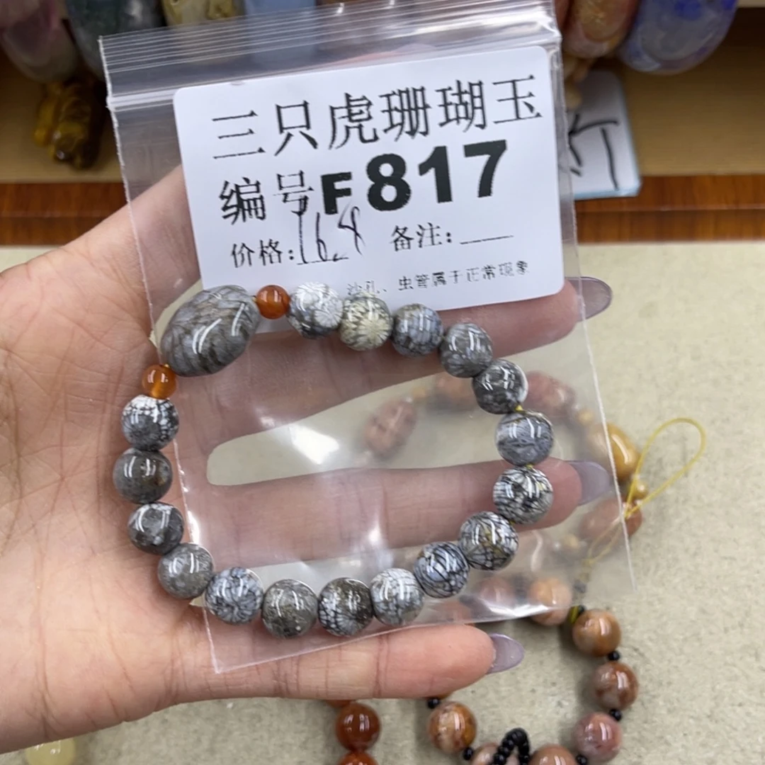 小***菇未镶嵌h硅化珊瑚（珊瑚玉）