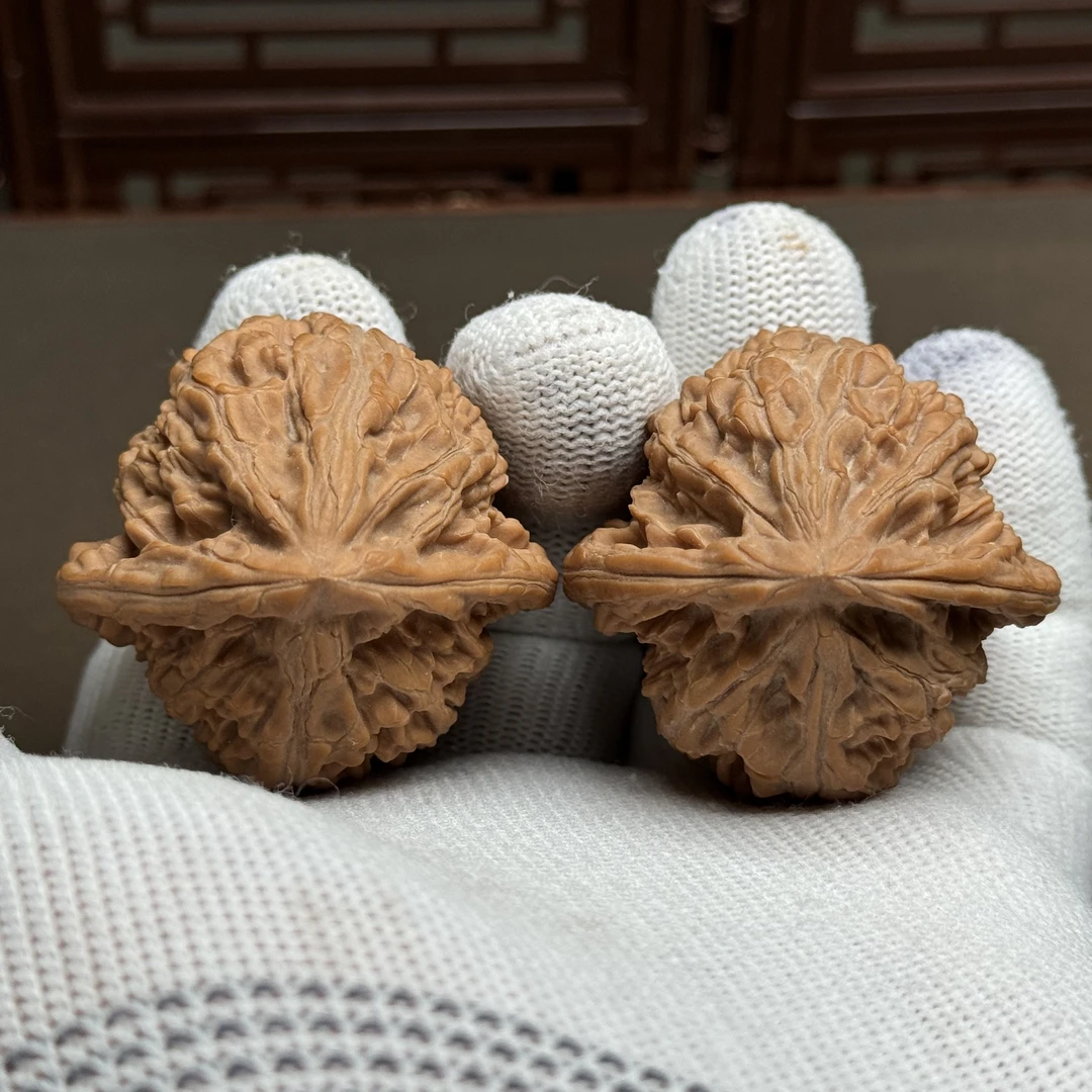 精选朱雀狮子头，边41肚40高45，山地老树果骨质好克重足，精配全品