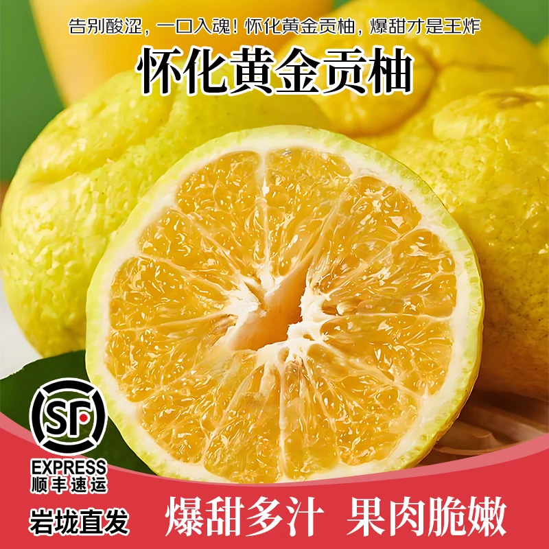 【顺丰快递】湖南怀化黄金贡柚纯甜新鲜水果春香柚象山青黄金柑柚子