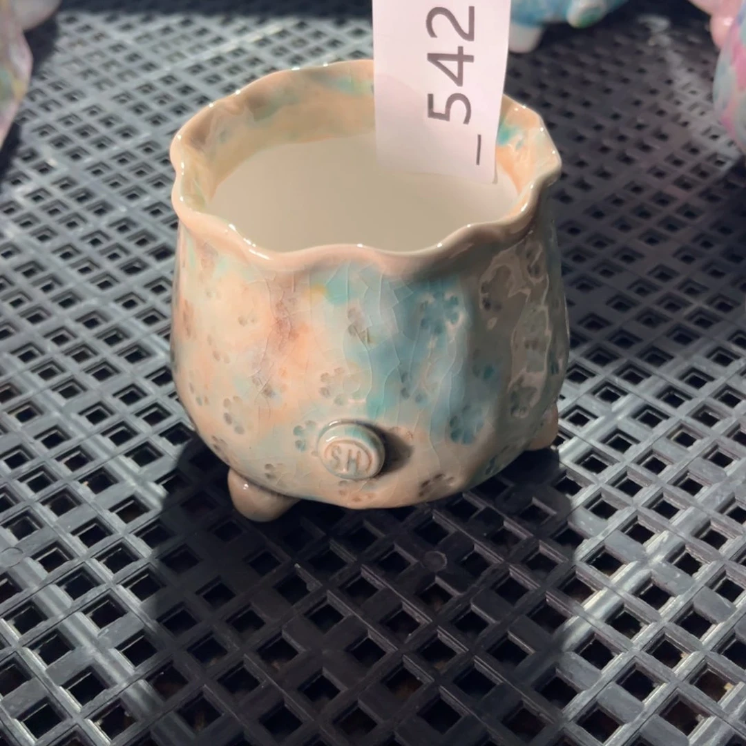 红陶果**条542花盆1个