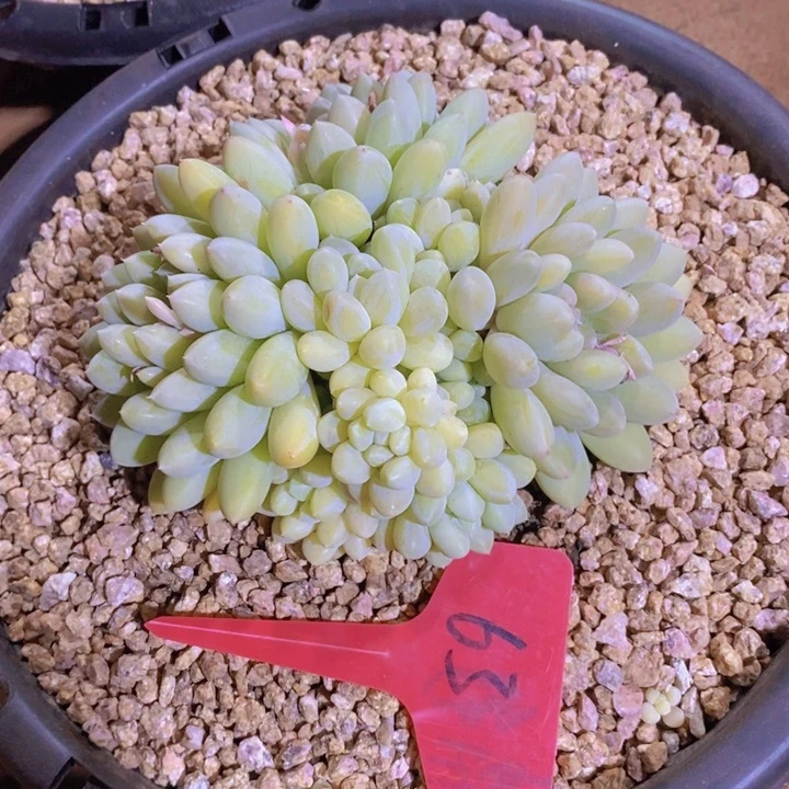 静***开这个我就知道这事不是