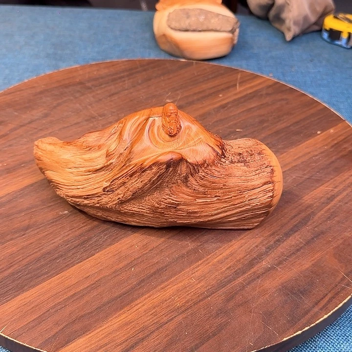 柏木（崖柏）关注一下