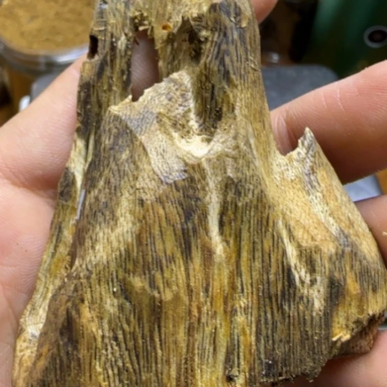 沉香碎屑沉香绿棋楠沉香虫漏料28克