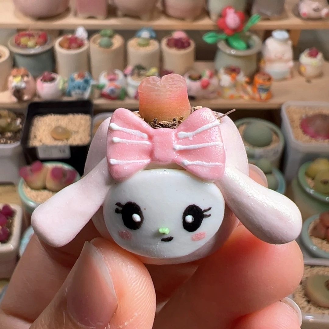 多肉植物58号拇指盆