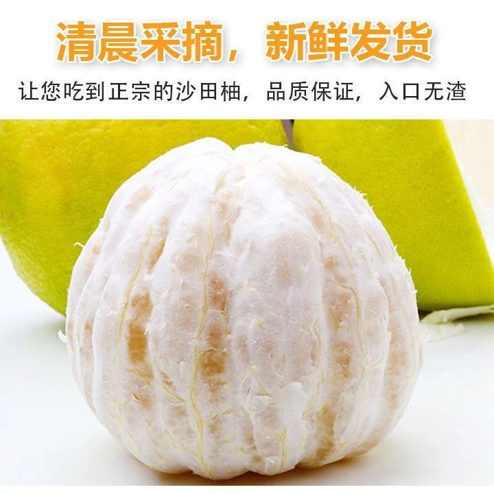 正宗广西容县沙田柚试吃装2个约4-5斤