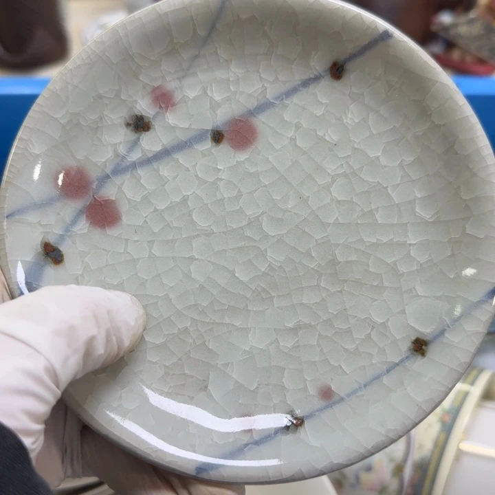 瓷片开播啦…开播啦！