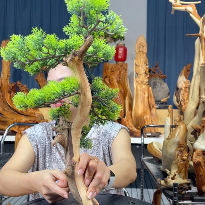 柏木（崖柏）迎客松