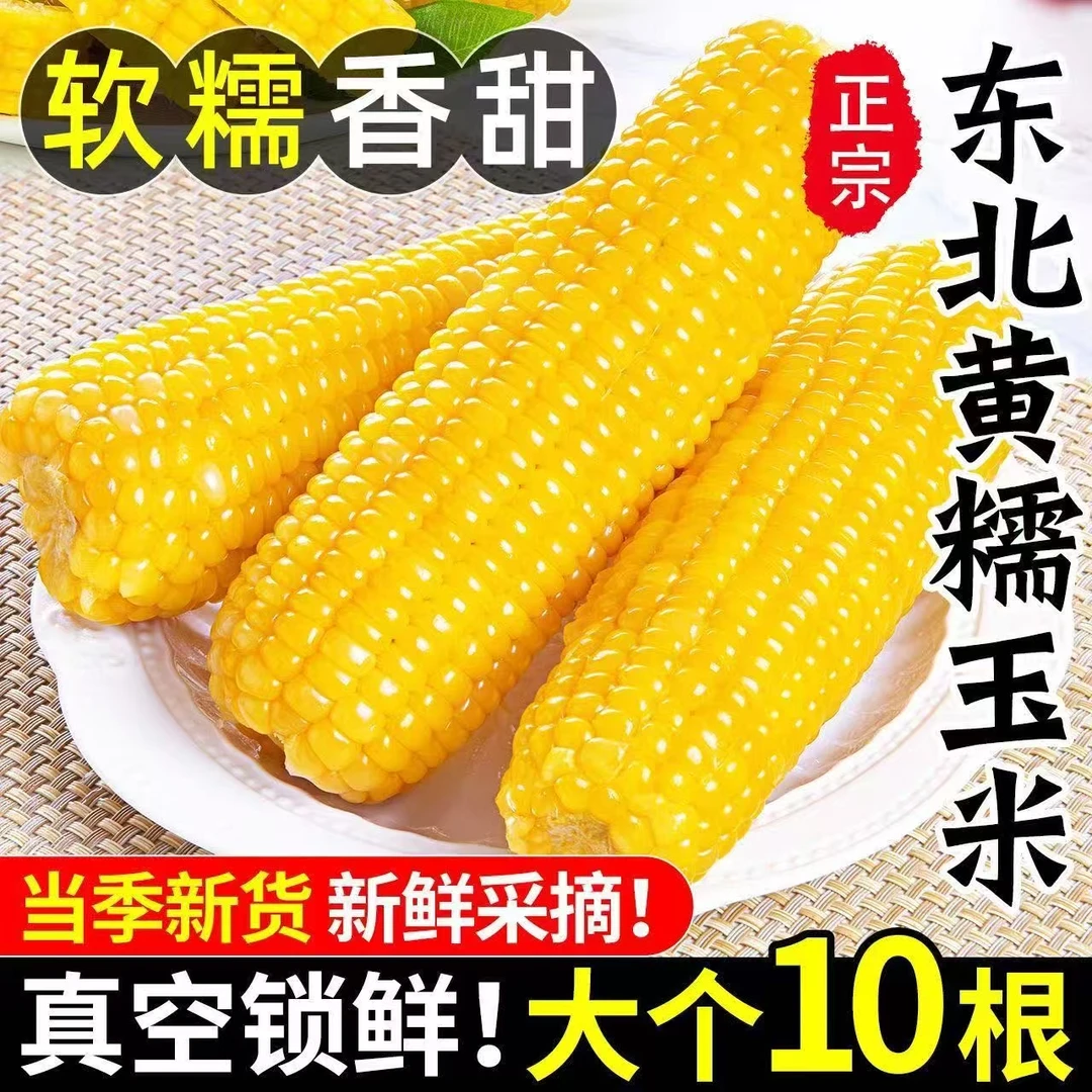 【10根有大有小】5斤正宗东北头茬糯玉米