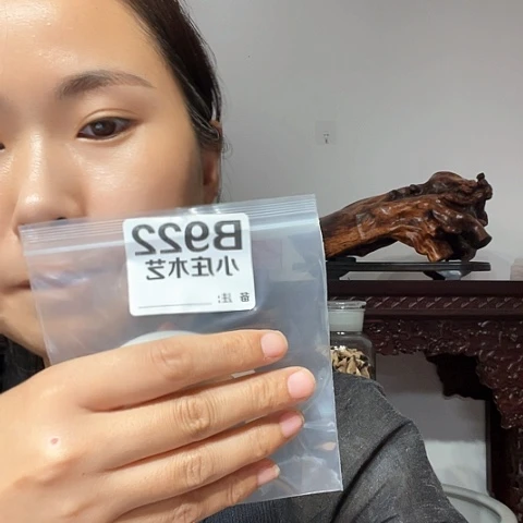 【闪购商品】石英石铁合金禾*922