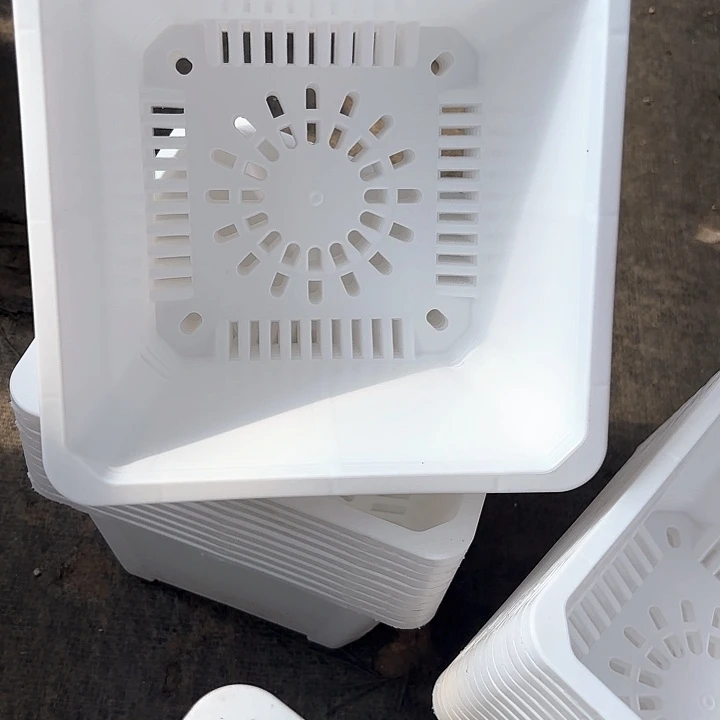 ?17公分白方盆10个