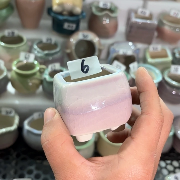 红陶量货｜深浅搭配发6