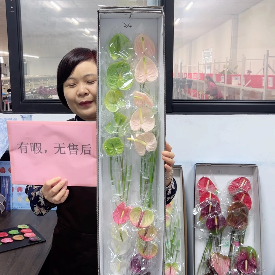 完全开放20枝混色迷你无售后款204