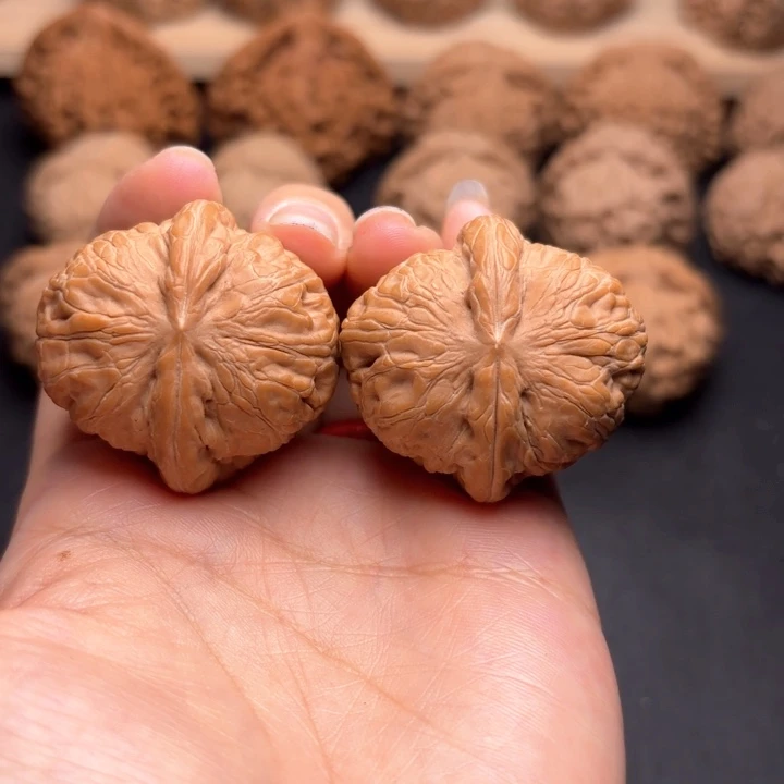 墨***菊文玩核桃把件36元宝