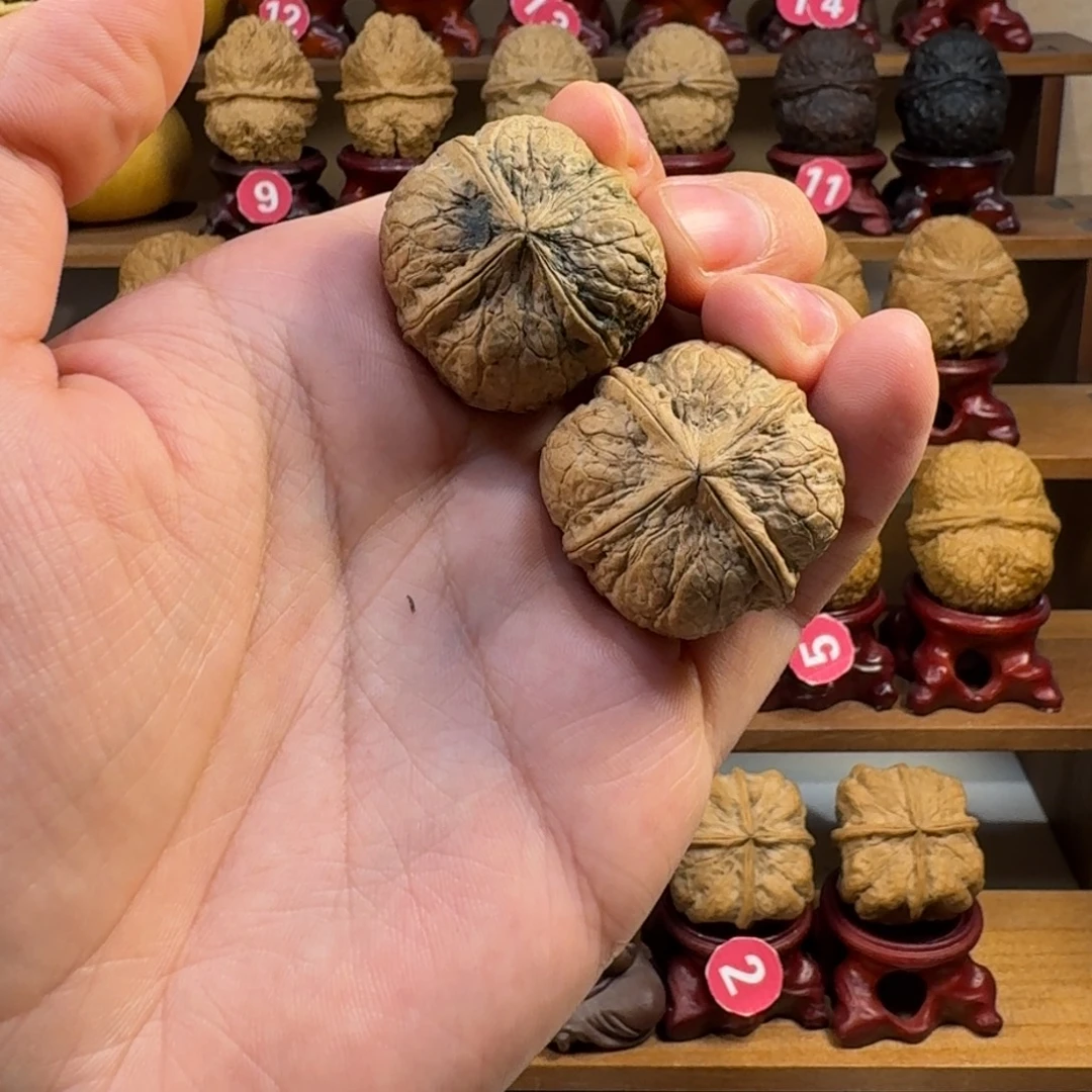 吃****铁核桃把件金蟒炸四