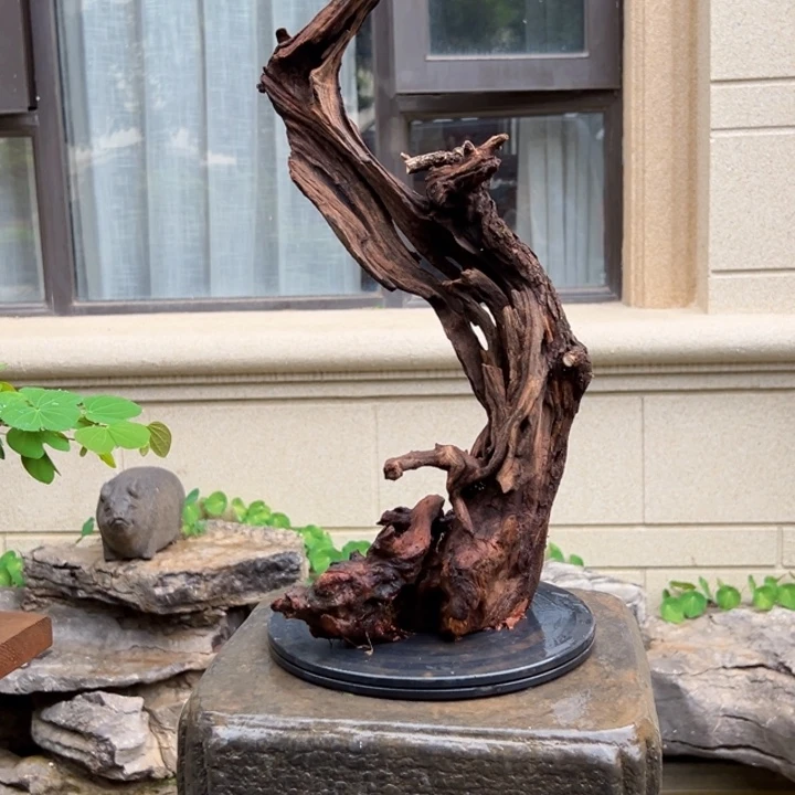 人***生无花朵羊蹄甲金丝红木