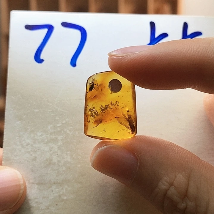 未镶嵌颈饰琥珀琥珀虫珀飞蛾