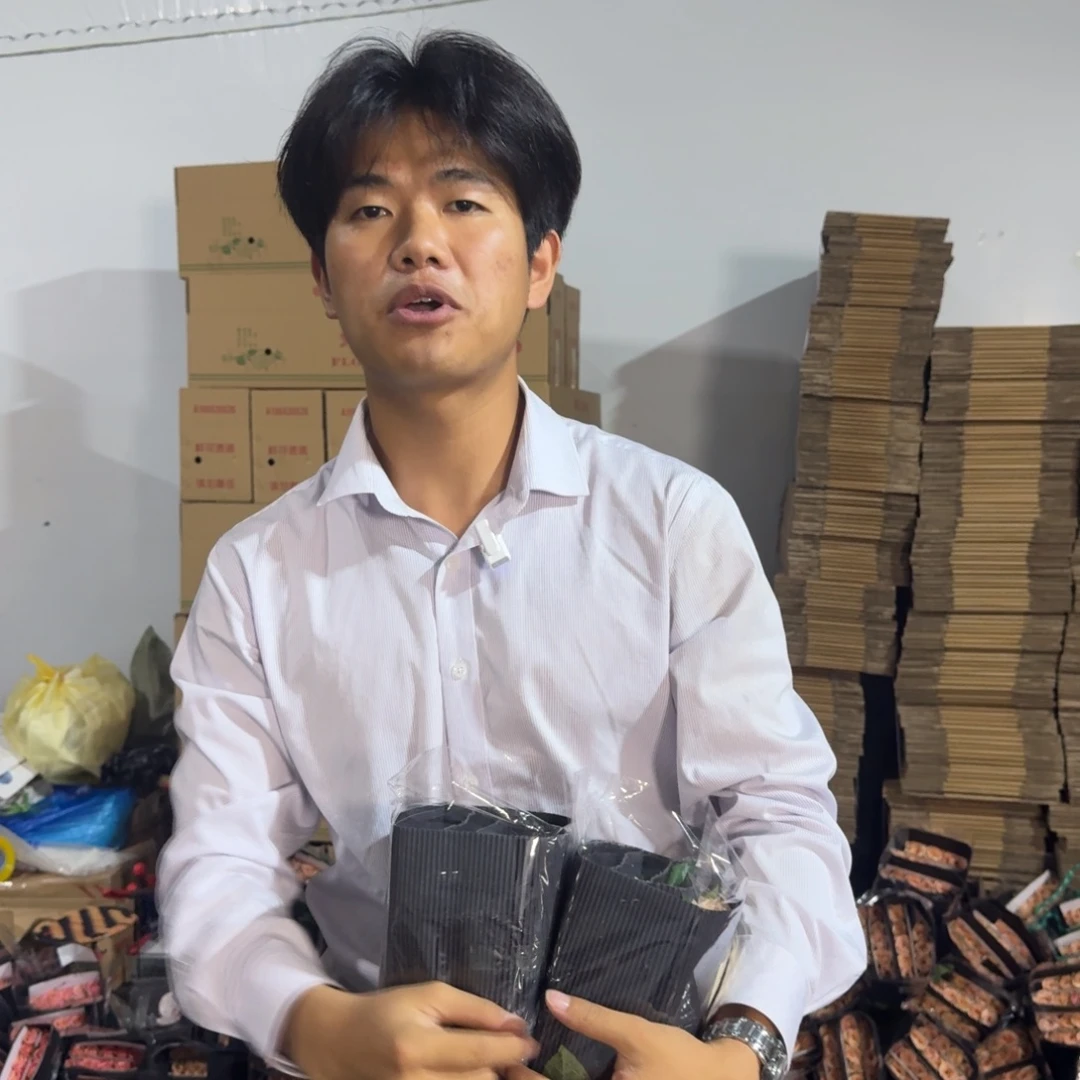 单头黄蝴蝶2扎包邮价秒杀