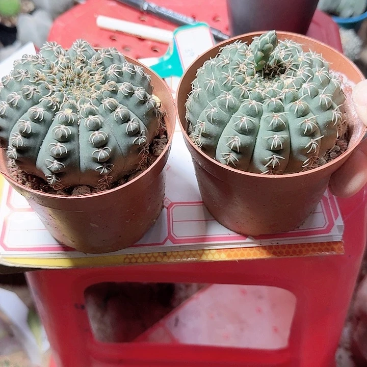 ****｀哈哈哈哈哈哈哈哈哈