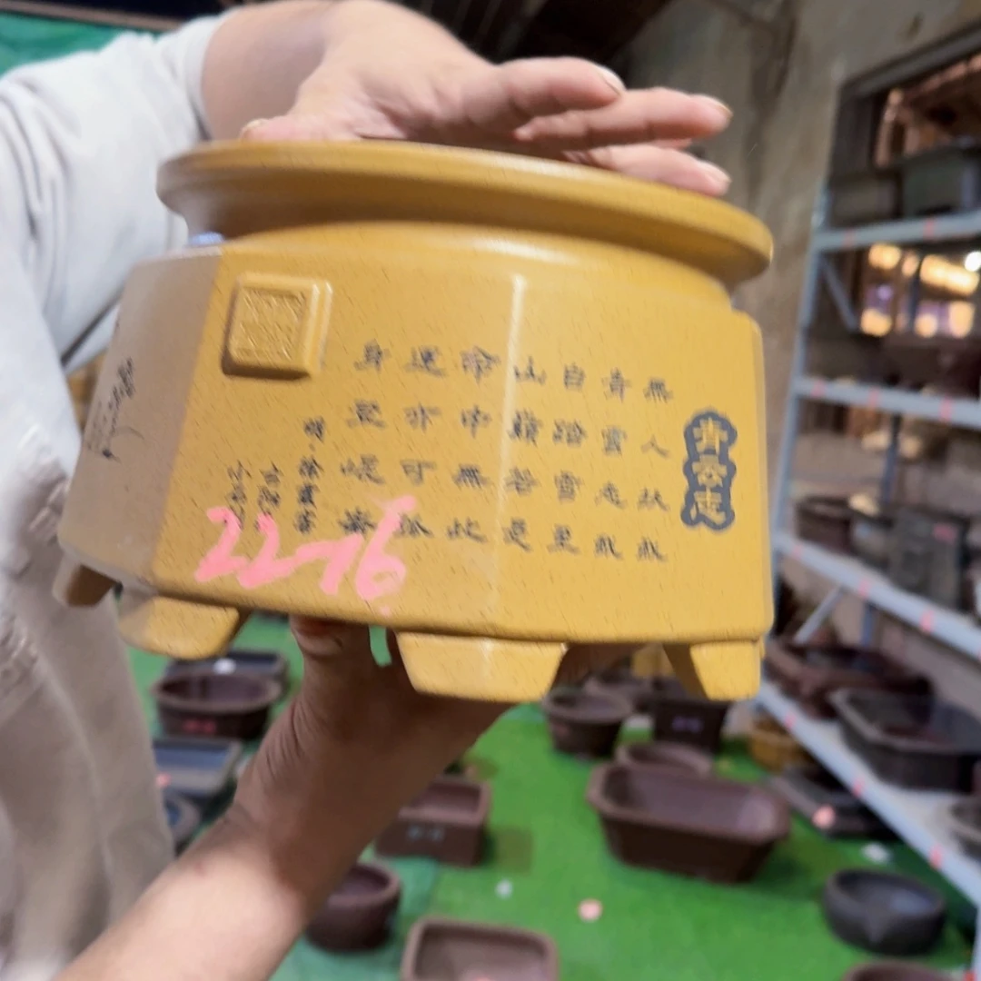 紫砂花盆紫砂花盆