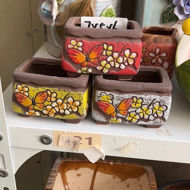 粗陶材质多肉花盆