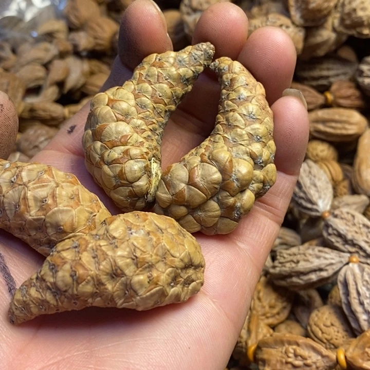 吊坠桃核东北特产89