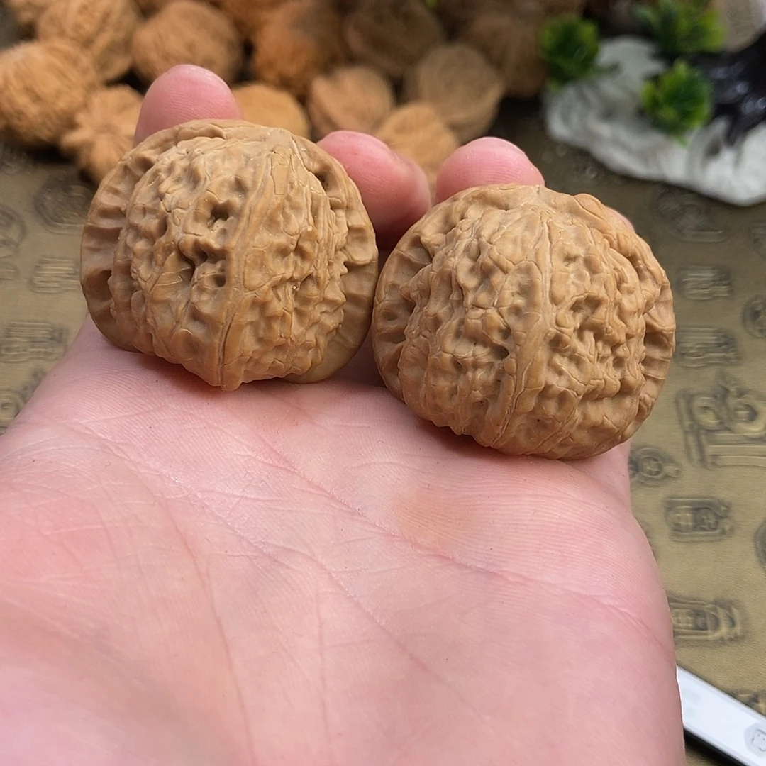核桃球白40尺寸编号229底子直筋对筋皮质好