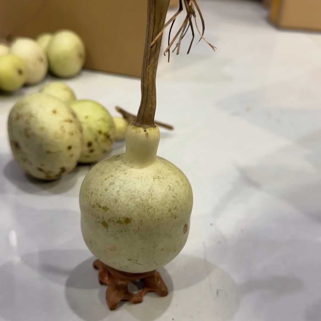 青皮不包成青皮不包成