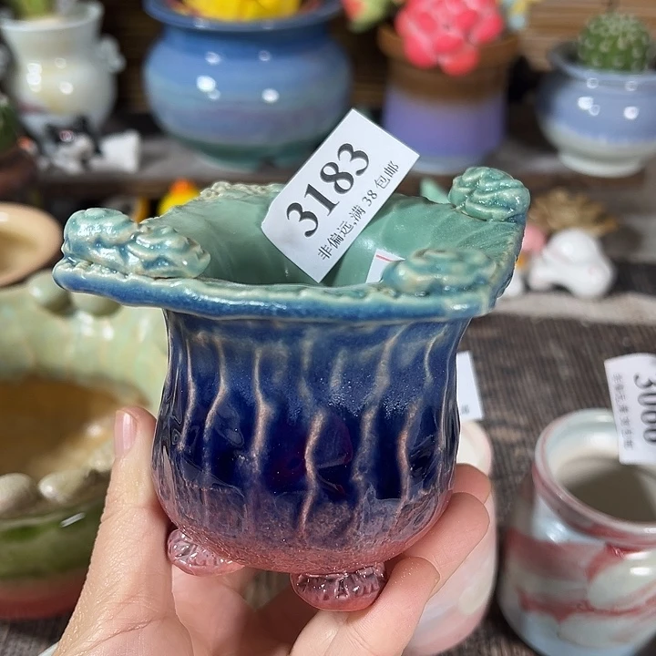 口6高7……开播福利…满30元包邮