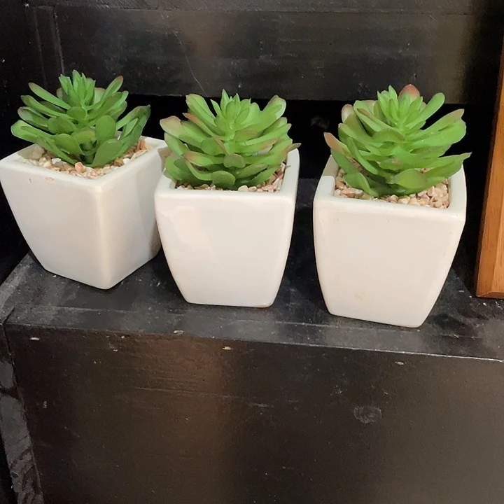 陶瓷花瓶部分（微瑕）3