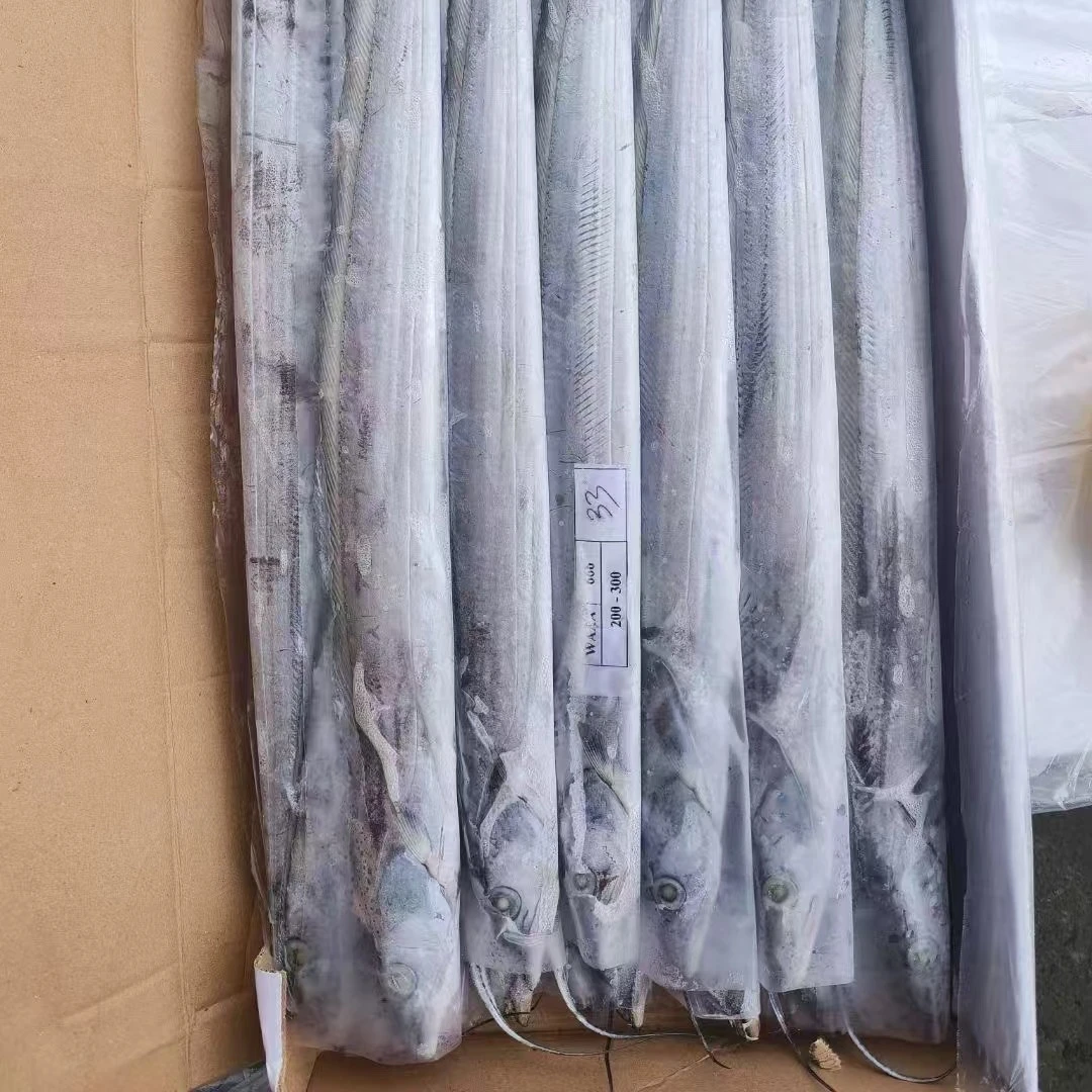 冻带鱼 1000g  39.8元精品