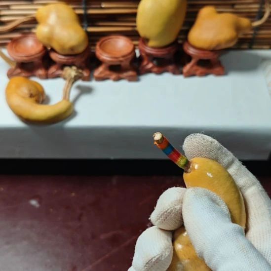 ～****精品土豆葫芦一物一拍
