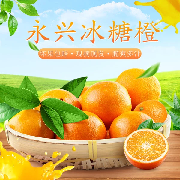 【萃香】永兴冰糖橙果园现摘现发郴州特产郴品郴味