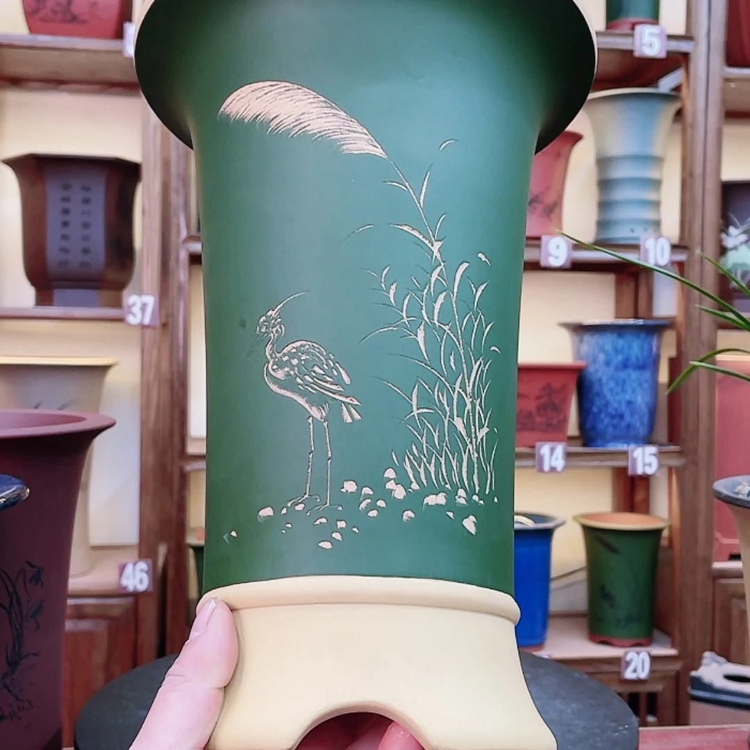 【闪购商品】紫砂花盆兰花452655225585555588