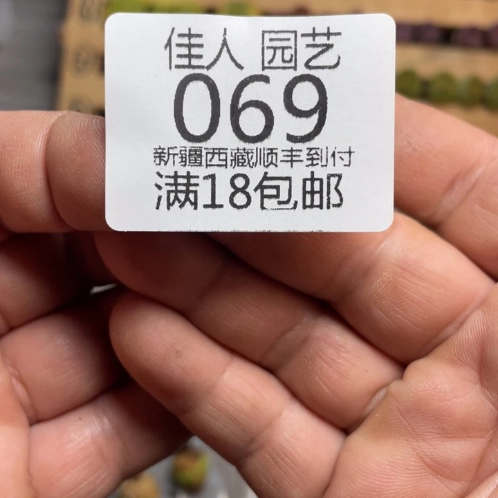 红***卡卡卡的时候就像一个小069